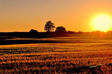 Free Photo Sunset Over Fields Blue Fields Journey Free Download