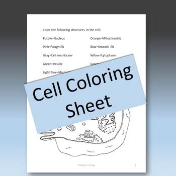 Biology staar review i draft. Biology STAAR Review - Cell Structure and Function by DrH ...