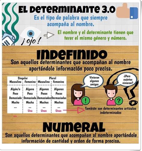 Los Determinantes Indefinidos Y Numerales Infografía De Lengua