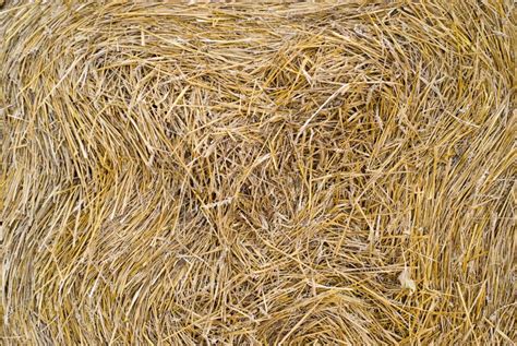 Straw Texture Stock Image Image Of Package Country 10872623