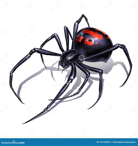 Black Widow Spider Vector Illustration 33879760