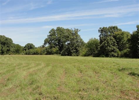 View listing photos, review sales history, and use our detailed real estate filters to find the perfect place. 2 acres in Rains County Texas for Sale