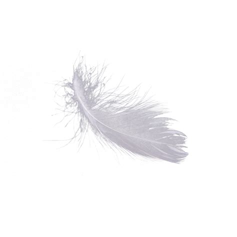 A Piece Of White Feather White White Feather Feather Png Transparent
