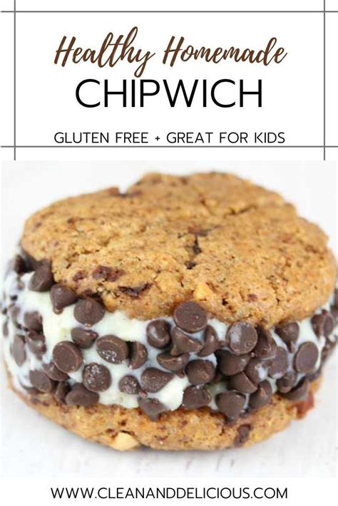 Processed dog food is cheaper as lower quality ingredients are used. Healthy Homemade ChipWhich | Recipe | Low calorie ice ...
