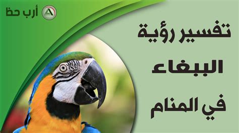 ما تفسير رؤية طائر الحسون في المنام. حلم الببغاء, معنى وتفسير رؤية الببغاء في المنام - ارب حظ