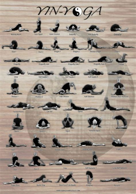 15 yin yoga poses chart yoga poses