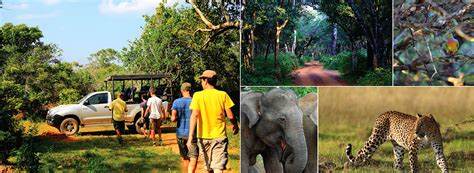 Sri Lanka Wildlife Safaris Eco Experience Wildlife Safaris In Sri Lanka