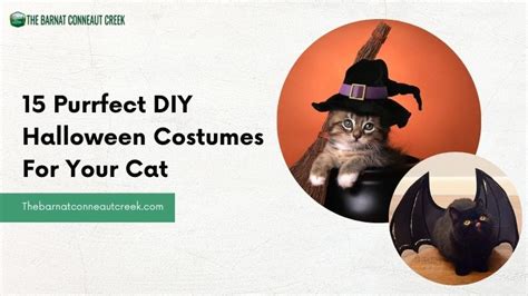 15 Purrfect Diy Halloween Costumes For Your Cat