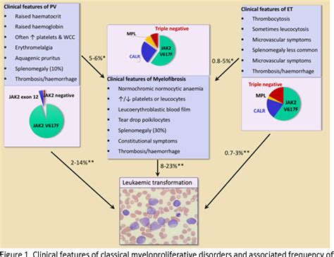 pdf pathogenesis of myeloproliferative neoplasms hot sex picture