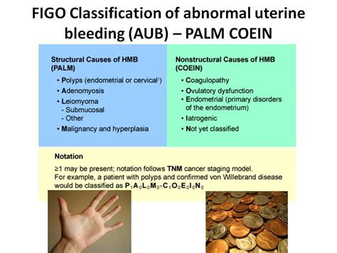 Abnormal Uterine Bleeding Advanced Gynecology And Laparoscopy Of Hot Sex Picture