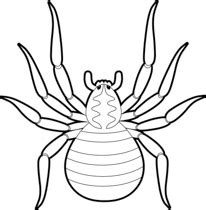 Spider clipart spider outline, Spider spider outline Transparent FREE for download on ...