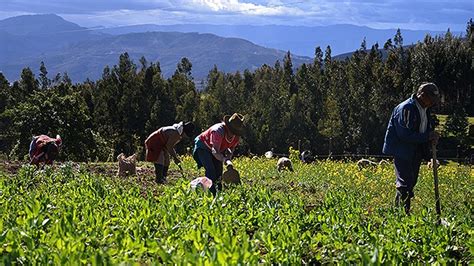 3 Formas De Ayudar A Nuestros Campesinos • Periódico El Campesino La