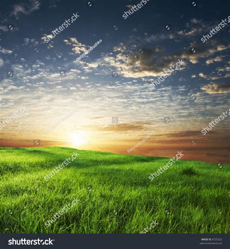 Green Grassland On Sunset Stock Photo 8725252 Shutterstock