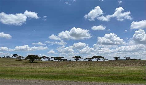 Traveling In Western Kenya Sights Sounds