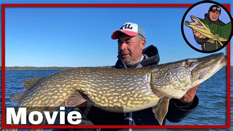 🎣 Fishing For Big Pikes In Sweden Vissen Op Roofvis Pike Fishing