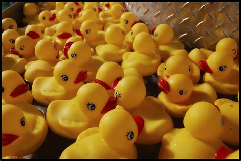 Rubber Ducky You Re The One You Make Bathtime Lots Of Fun Flickr