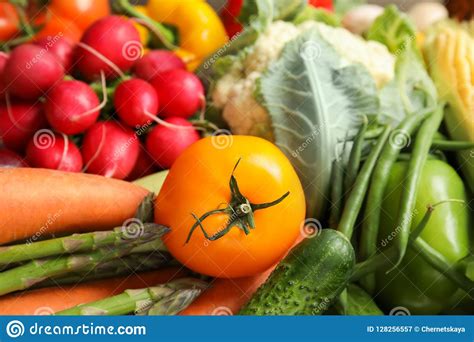 Assortment Of Fresh Colorful Vegetables Closeup Stock Image Image Of
