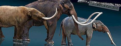 Mastodons Hakkında Gerçekler 2022 Hayvanlar