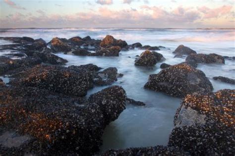 03 für meer, zur durchwahl und müssen zwischen verschiedenen ortsnetzen mit vorgewählt werden. The Belgian coast | Belgium.be
