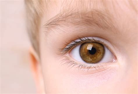 Childstudent Eye Examinations Goldwyn Opticians Goldwyn Opticians