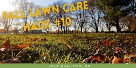 Give lawns an organic fertilizer and compost in fall and. 10 Fall Lawn Care Hacks To Make Your Life Easier | Page 10 of 10 | CG Lawn