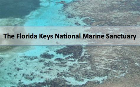 Florida Keys National Marine Sanctuary Seeks Public Comment On Future