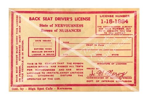 Back Seat Drivers License Etsy