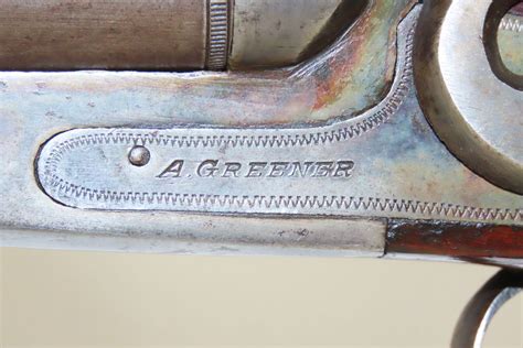 Belgian A Greener Hammer Shotgun C Rantique Ancestry Guns
