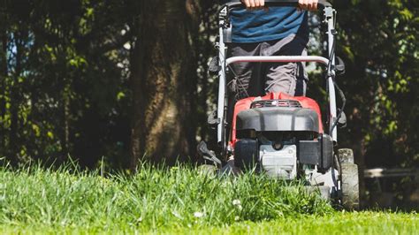 Top 5 Tips About Mowing Your Lawn Magazine Module