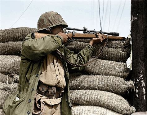 The Allied Sniper Rifles Of WWII VIDEO Guns Com