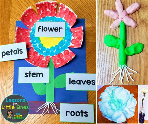 Flower Science Experiments And Parts Of A Flower Activities Lessons For