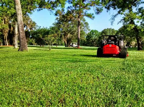 Enter your zip & find pros fast! Bahia Grass | LawnSite.com™ - Lawn Care & Landscaping ...