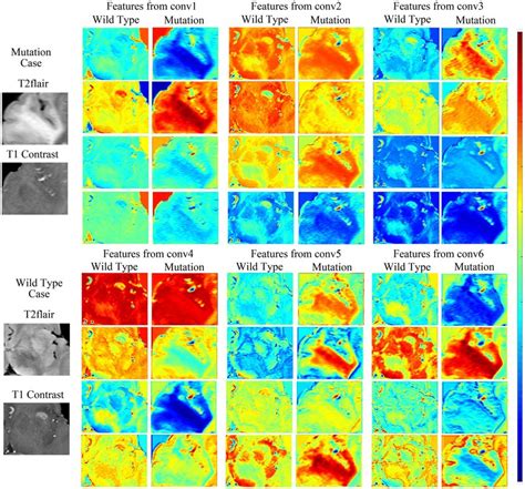 Visualization Of Feature Maps A First Convolutional L Vrogue Co