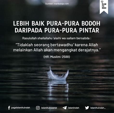 Islam itu Indah - LEBIH BAIK PURA-PURA BODOH DARIPADA...