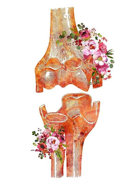 Elbow Anatomy Watercolor Printelbow Joints Medical Art Elbow