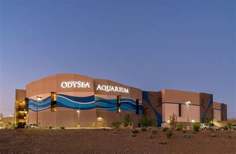 Odysea Aquarium 254 Photos And 183 Reviews Aquariums 9500 E Via De