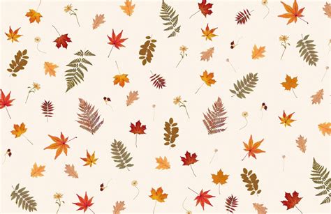 Pressed Autumn Leaf Pattern Wallpaper Mural Desktop Wallpaper Fall