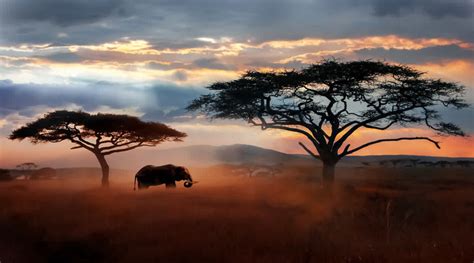 A Complete Guide For Travelers To Visit Serengeti National Parkafrican Scenic Safaris