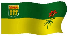 Bandera de canada gif is a 1600x800 hd wallpaper picture for your desktop, tablet or smartphone. Gifs animados de Banderas de Canada, animaciones de Banderas de Canada