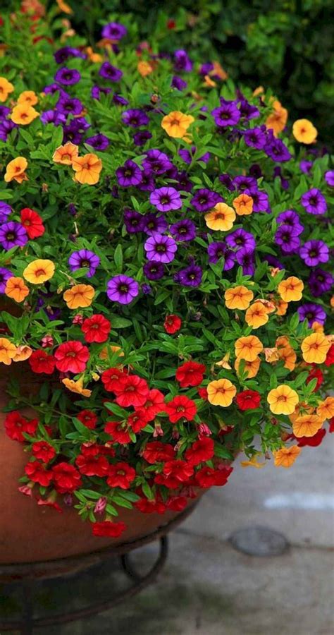 35 Stunning Container Garden Planting Design Ideas Container Flowers