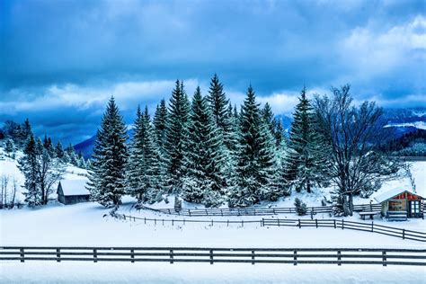 Free Images Winter Snow Trees Fence House Cold Blue Sky