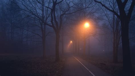 Dark And Foggy Road