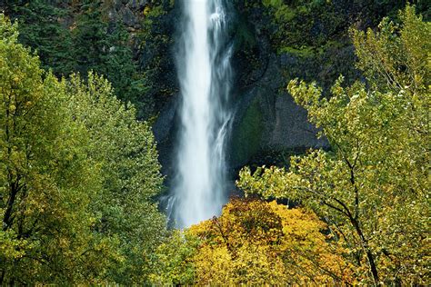 Autumn Multnomah Falls Columbia Photograph By Michel Hersen Pixels