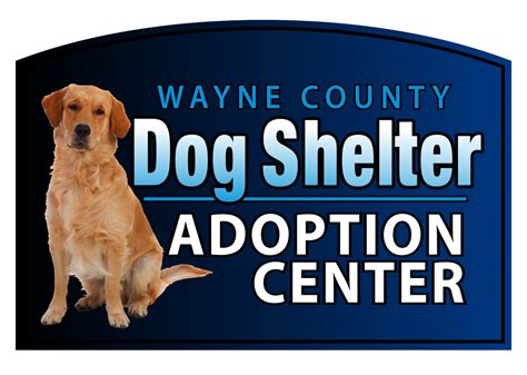Wayne County Dog Shelter Shelter Dogs Animal Shelter Wayne County