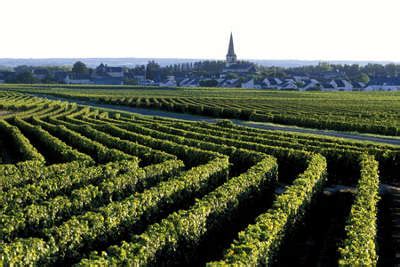 The price has been stable over the past year. Route des vins de Touraine Entre Saumur et Chenonceaux
