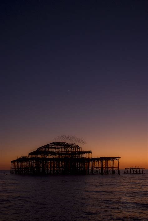 West Pier Brighton And Starlings I Took This Today Of The Flickr