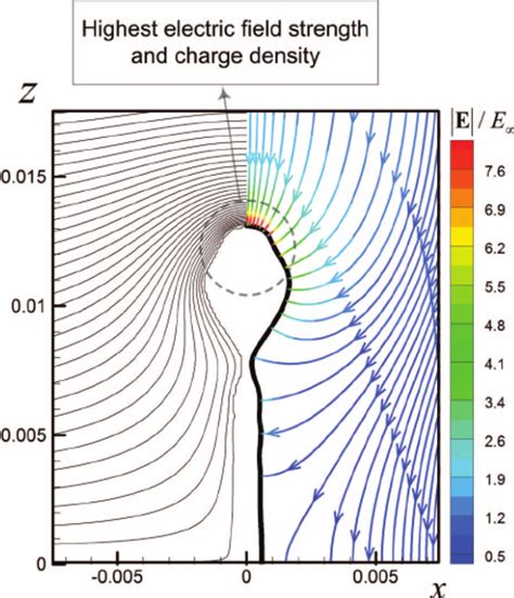 Electric Field Potential Left Half And Electric Field Lines Together