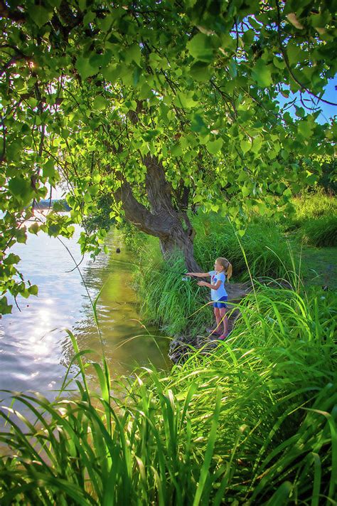 Summer Days At The Lake Photograph By Lynn Bauer Fine Art America