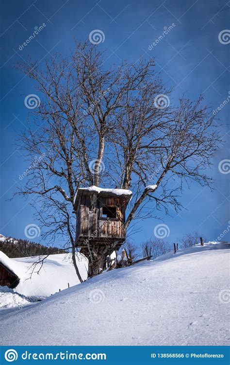 Small Treehouse In Snow Covered Winter Wonderland In