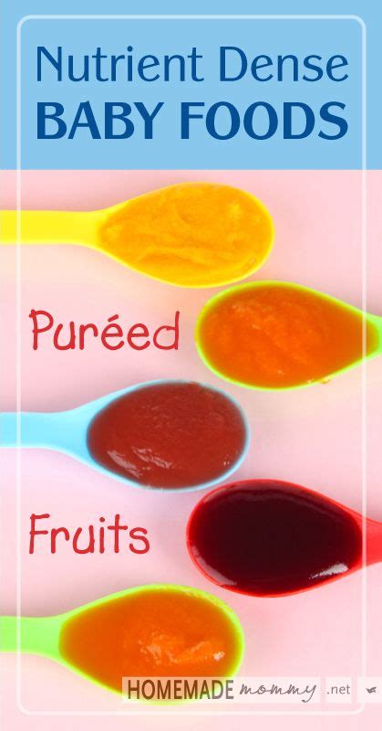 Nutrient Dense Baby Foods Pureed Fruits